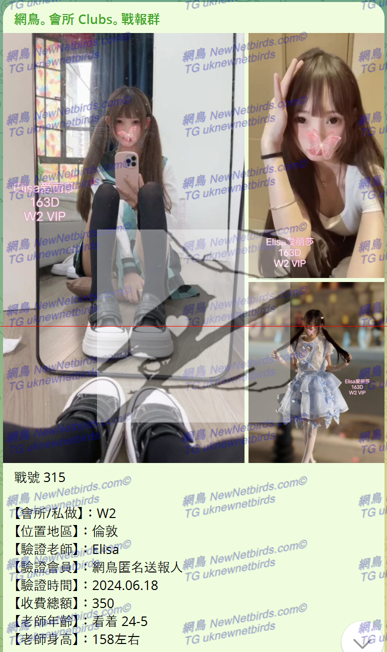 戰號 315 1.png